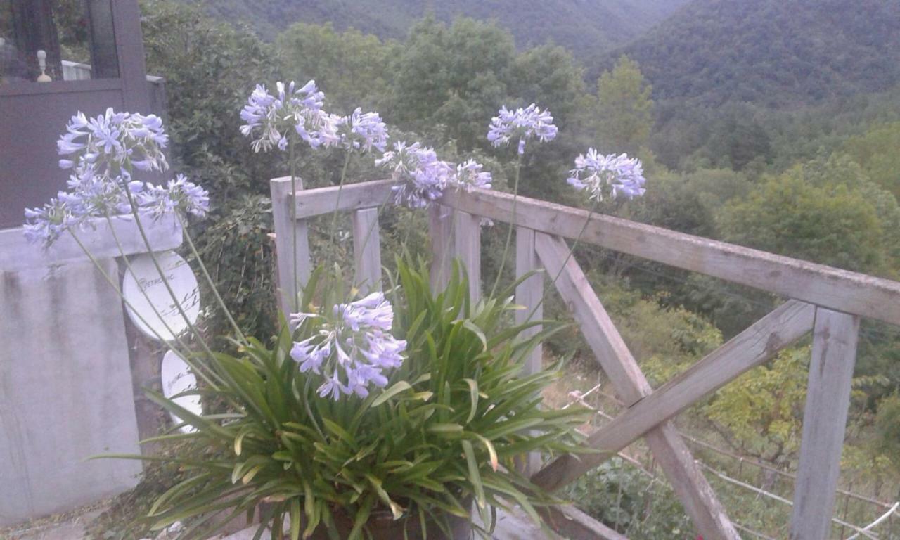 Chambres D'Hotes Les Terrasses De Cailla ภายนอก รูปภาพ